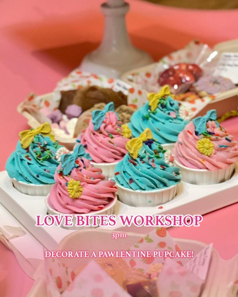 Love Bites Workshop